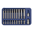 Ribe Bit Set 22pc 3/8" & 1/2"Sq Drive | Pipe Manufacturers Ltd..