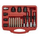 Alternator Freewheel Pulley Removal Set 18pc | Pipe Manufacturers Ltd..
