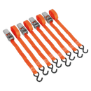 Ratchet Tie Down 25mm x 4m Polyester Webbing with S Hooks 500kg Load Test - 2 Pairs | Pipe Manufacturers Ltd..
