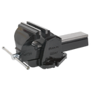 Professional Mechanic's Vice 200mm SG Iron | Pipe Manufacturers Ltd..